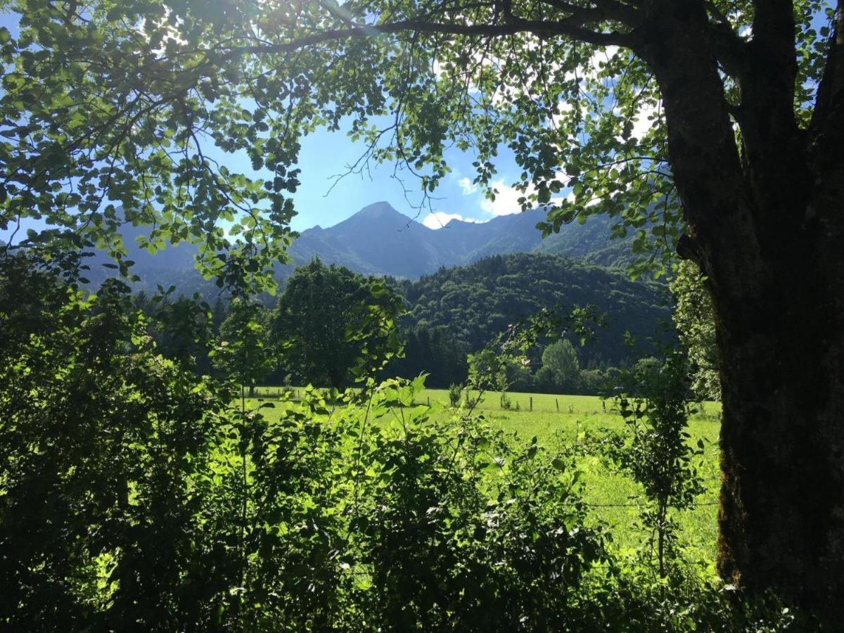 Premium-Chalet Achental Mit Kamin Und Sauna 施莱兴 外观 照片